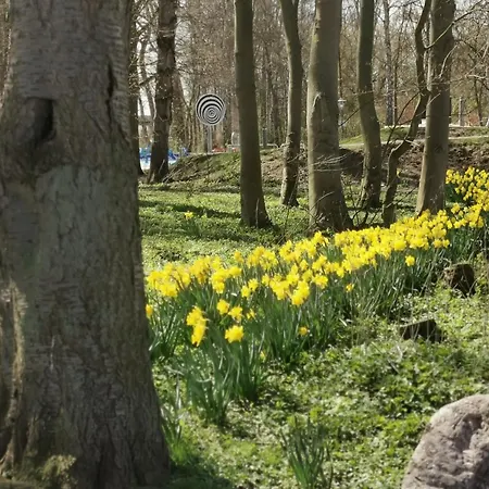 아파트 Rosa Canina W11 켈렌후센